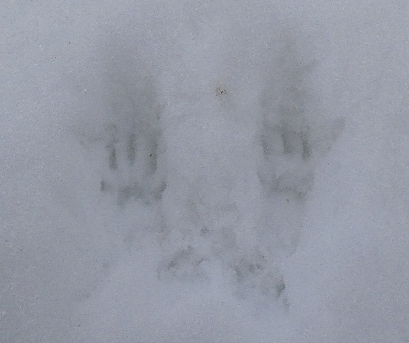 �j�z�����X�̑���