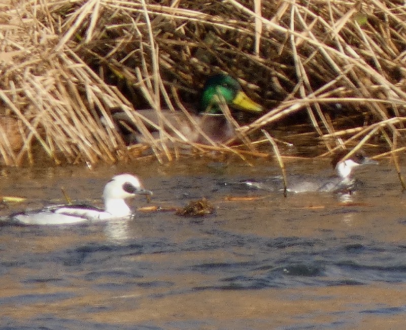 �~�R�A�C�T