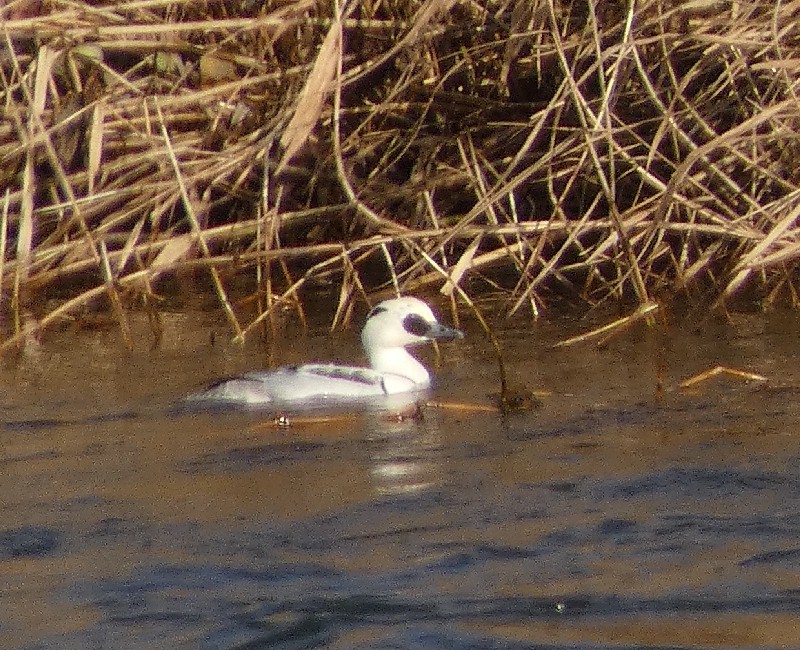 �~�R�A�C�T