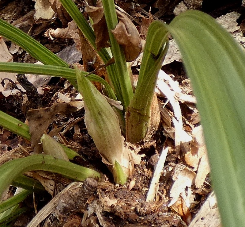 �V��������