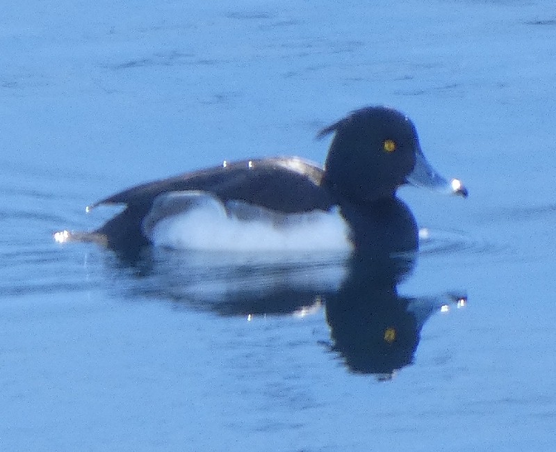 �L���N���n�W��