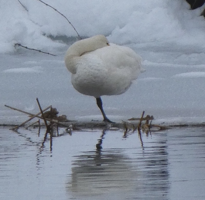 �R�n�N�`���E