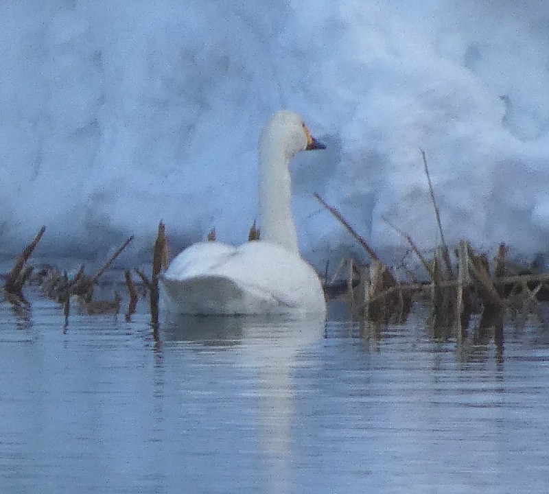 �R�n�N�`���E