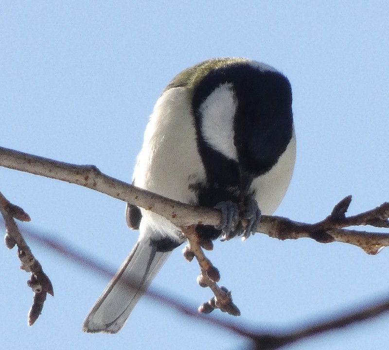 �V�W���E�J��