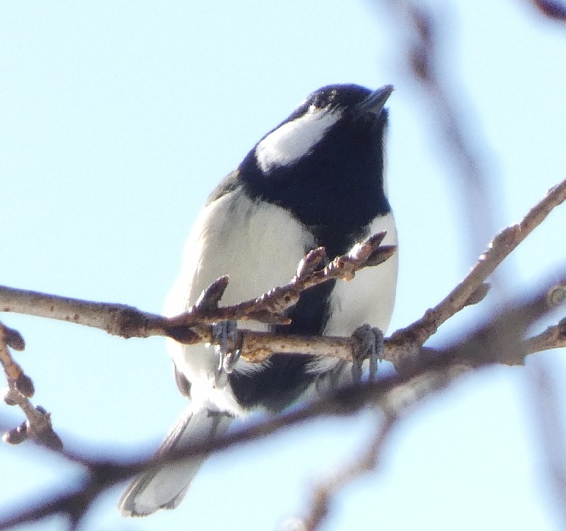 �V�W���E�J��