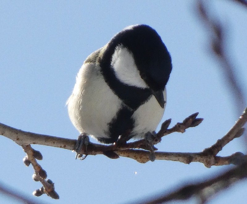 �V�W���E�J��