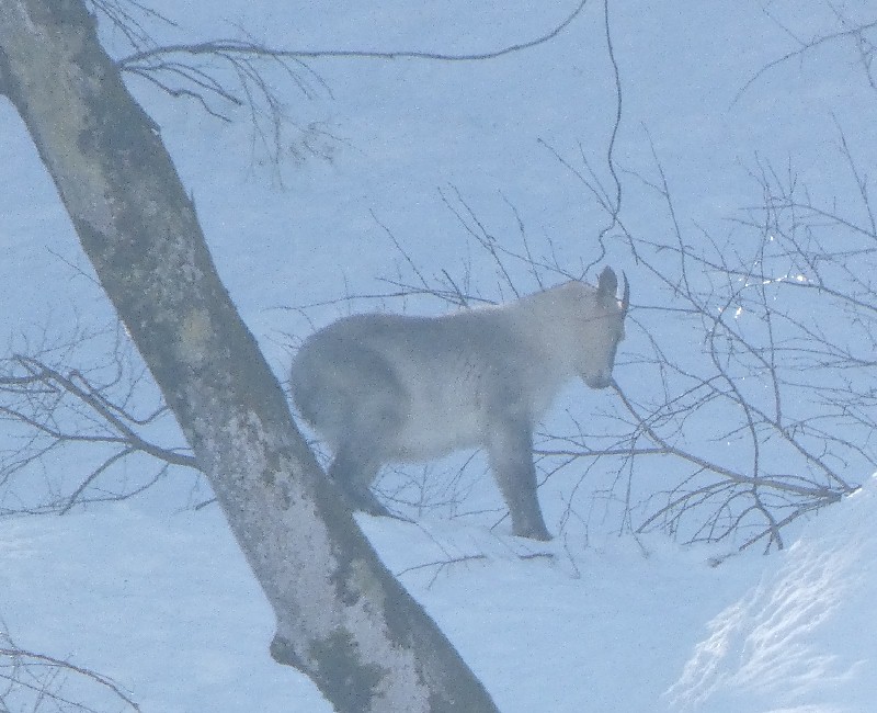 �j�z���J���V�J