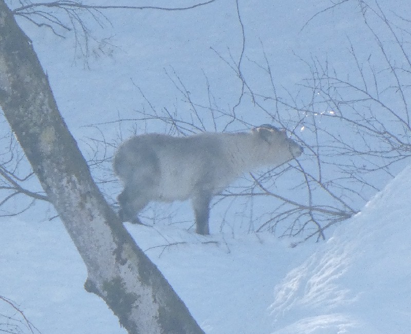 �j�z���J���V�J