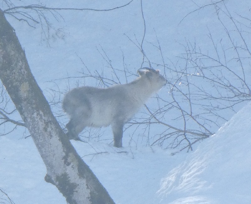 �j�z���J���V�J