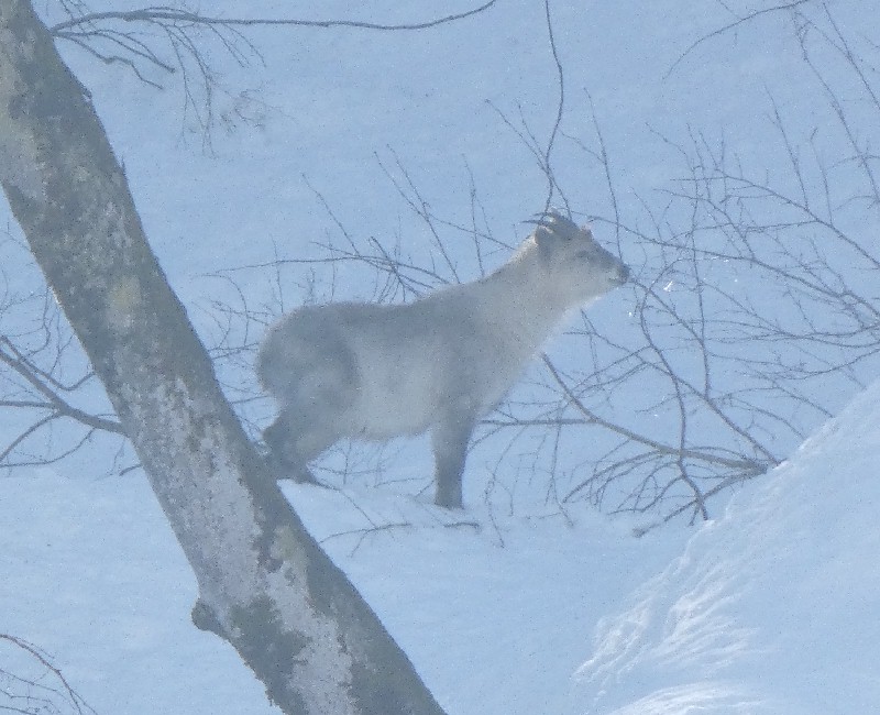 �j�z���J���V�J