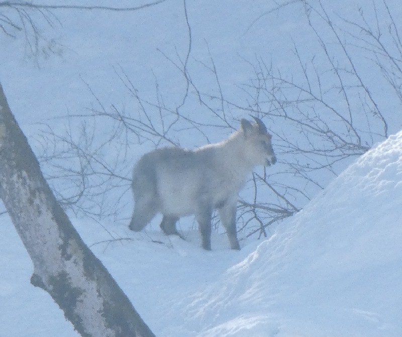 �j�z���J���V�J