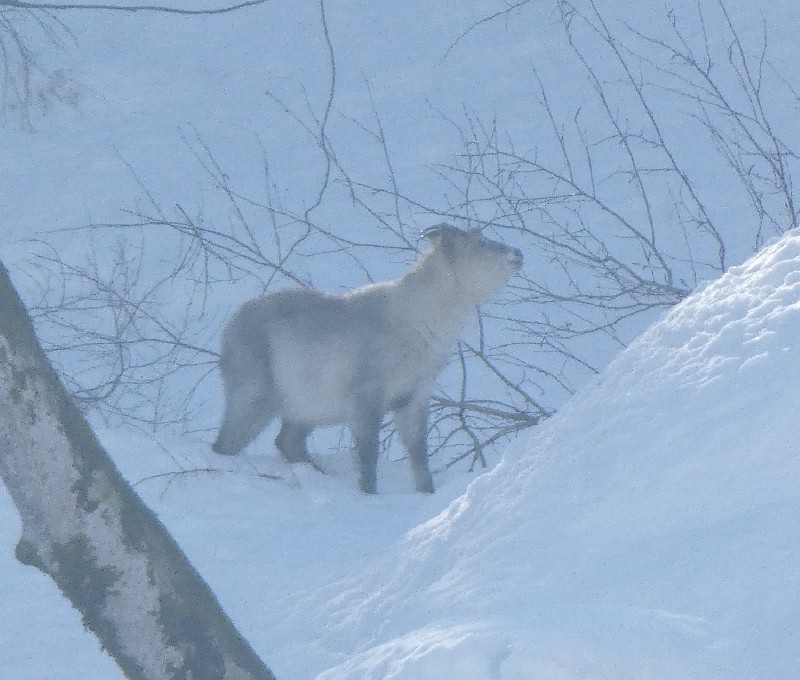 �j�z���J���V�J