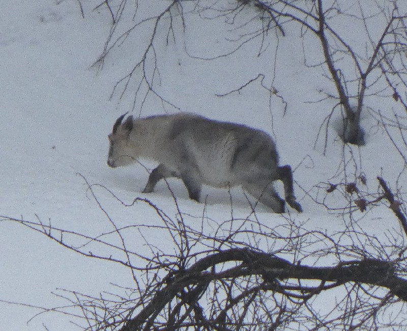 �j�z���J���V�J