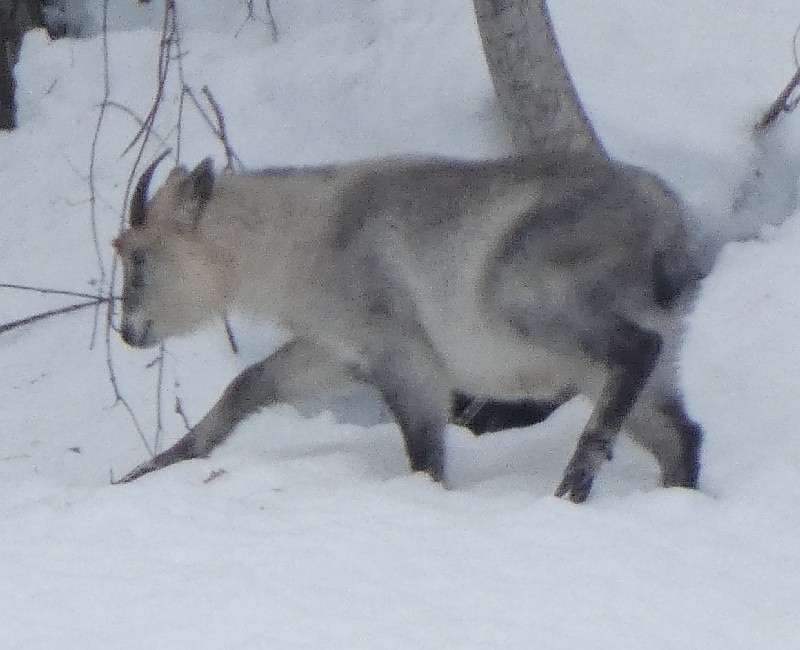 �j�z���J���V�J