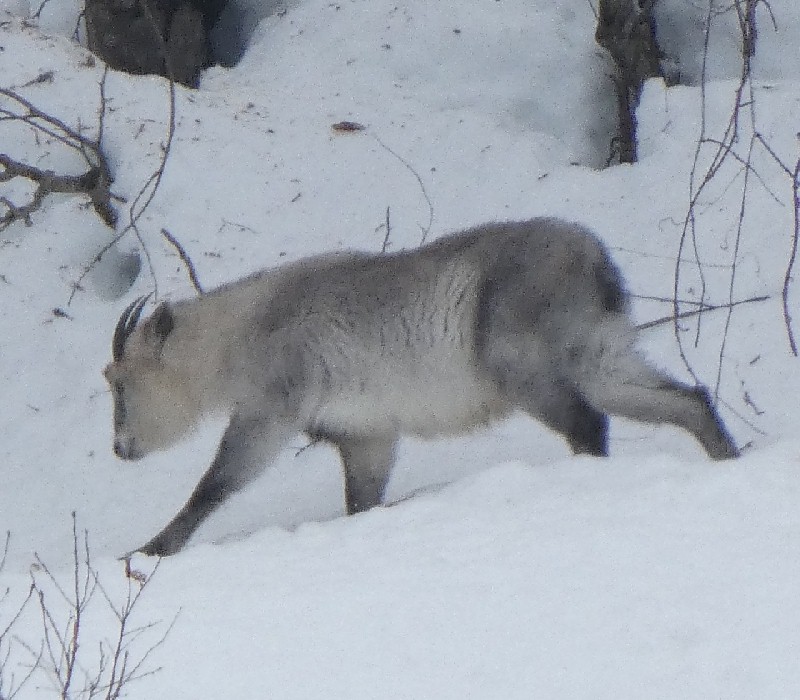 �j�z���J���V�J