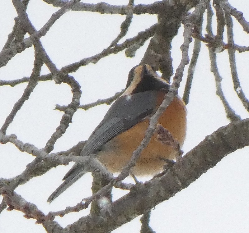 ���}�K��