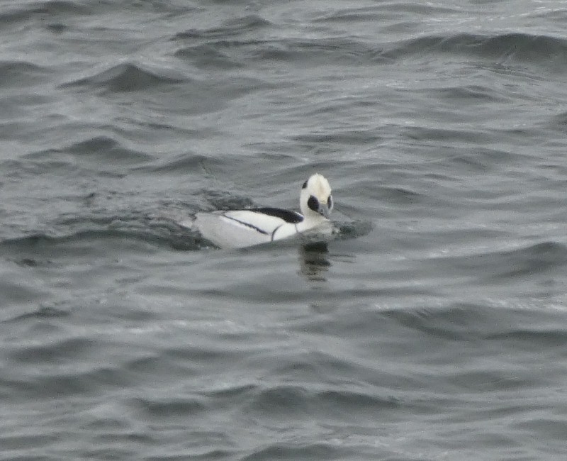 �~�R�A�C�T