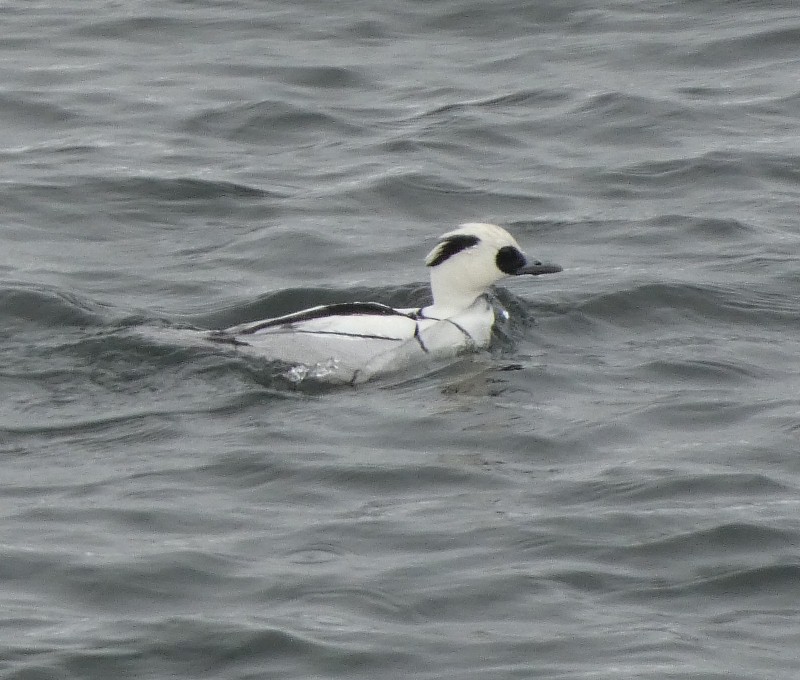 �~�R�A�C�T