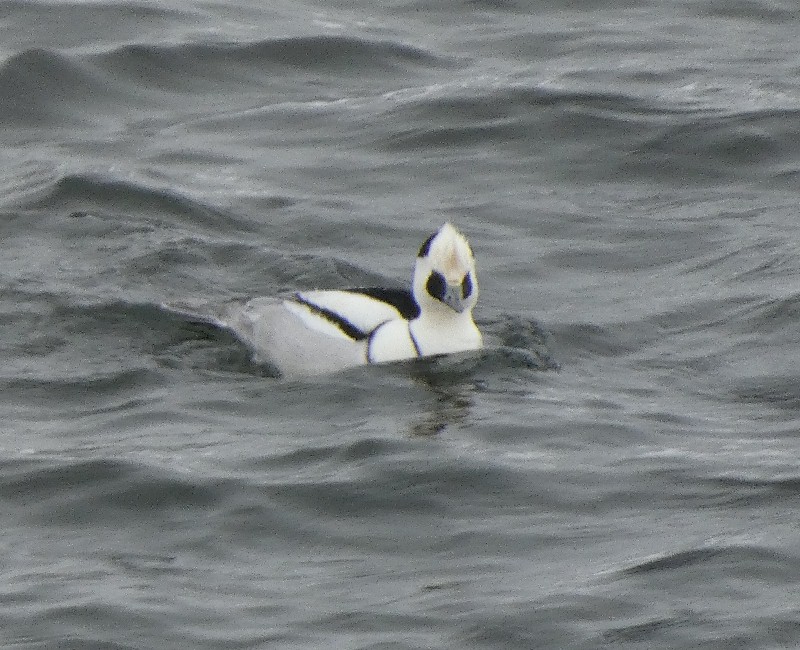 �~�R�A�C�T