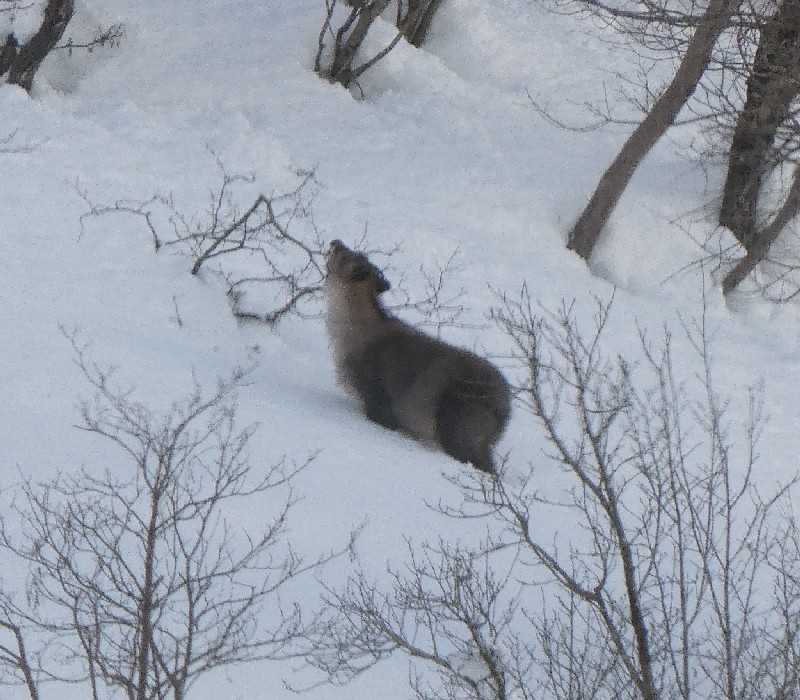 �j�z���J���V�J