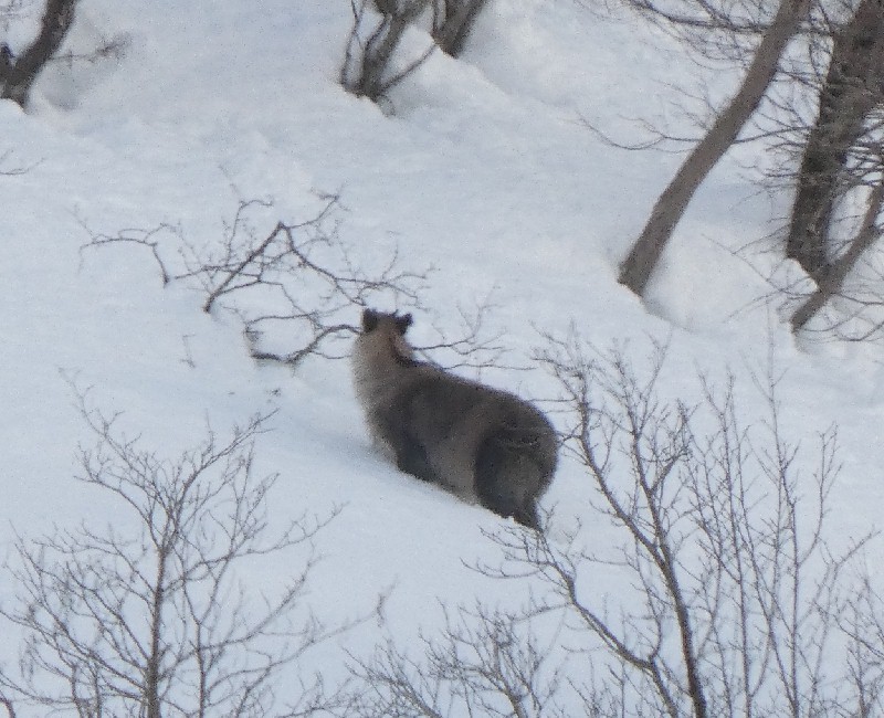 �j�z���J���V�J