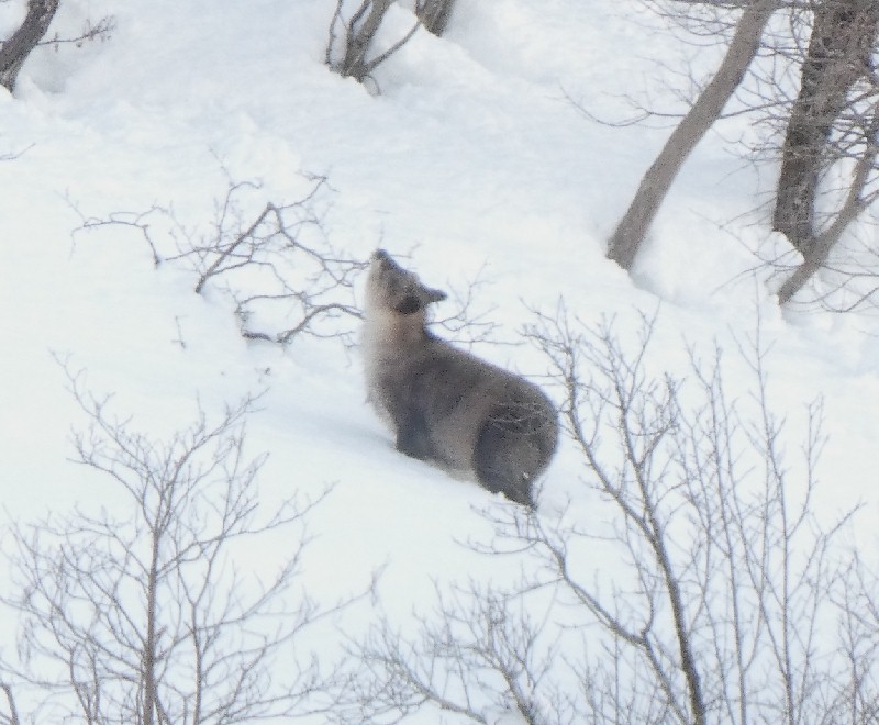 �j�z���J���V�J