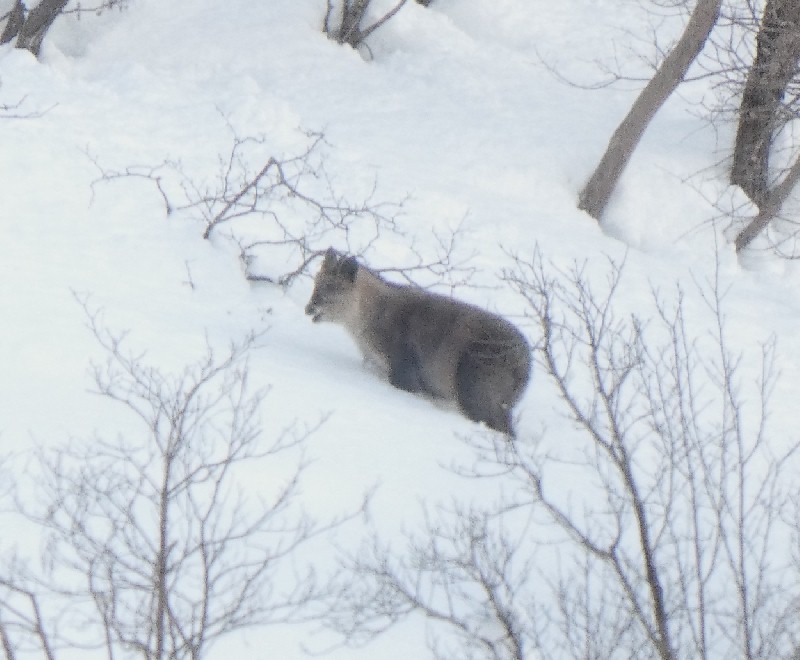 �j�z���J���V�J