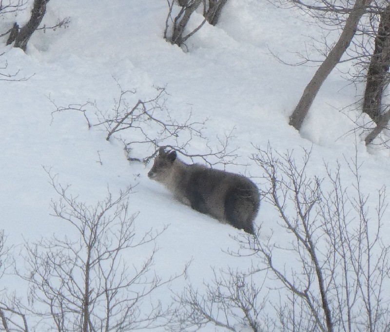 �j�z���J���V�J