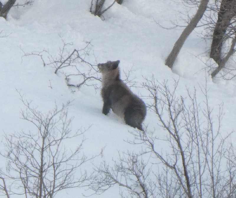 �j�z���J���V�J