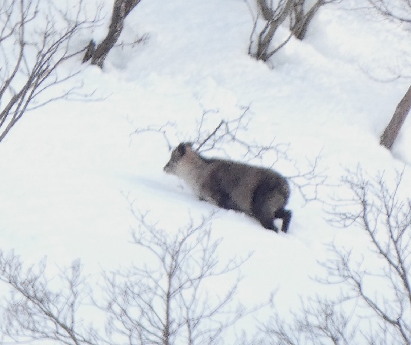 �j�z���J���V�J