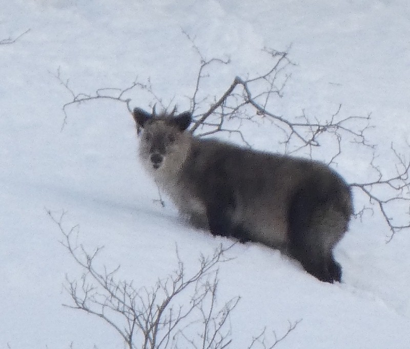 �j�z���J���V�J