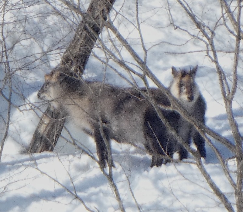 �j�z���J���V�J