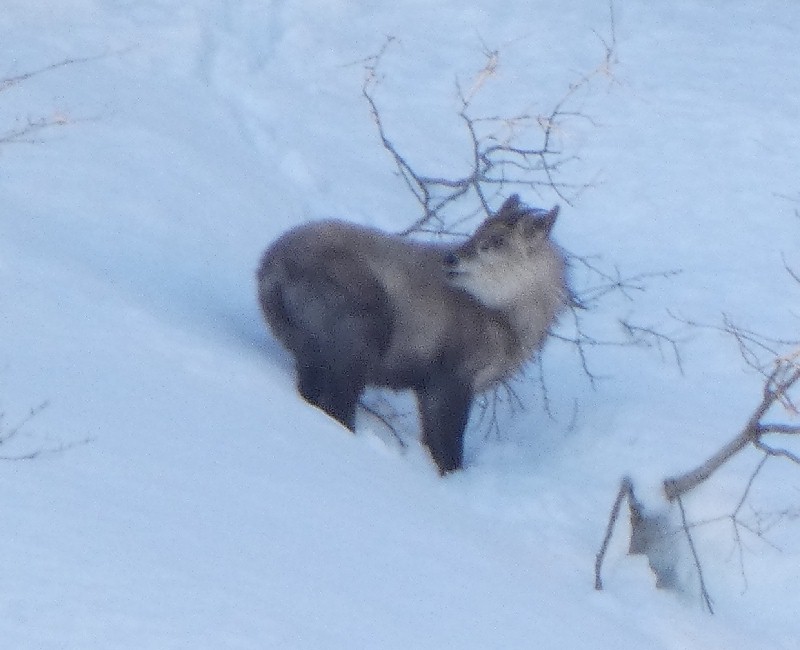 �j�z���J���V�J