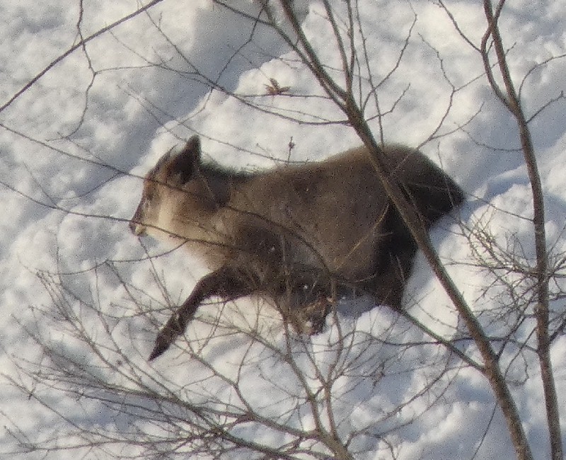 �j�z���J���V�J