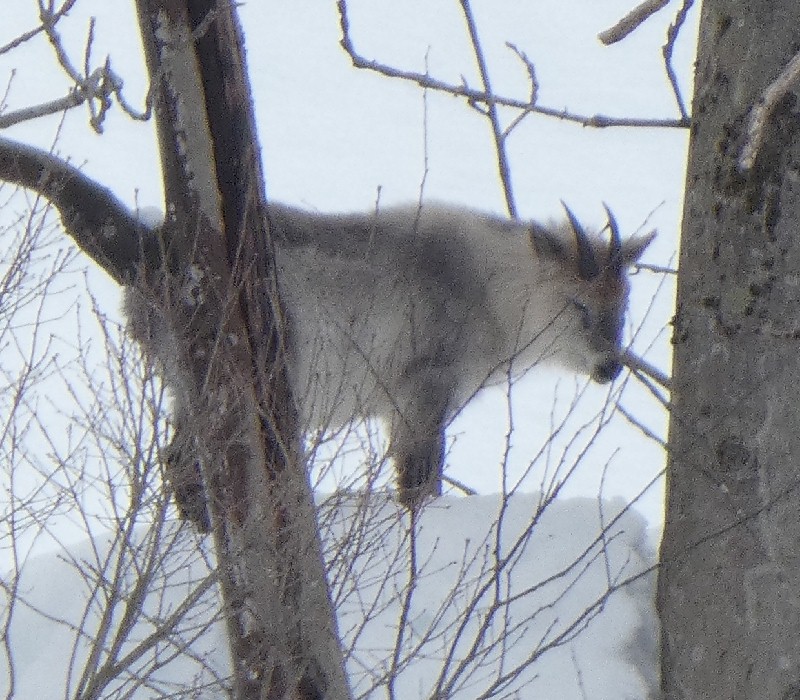 �j�z���J���V�J