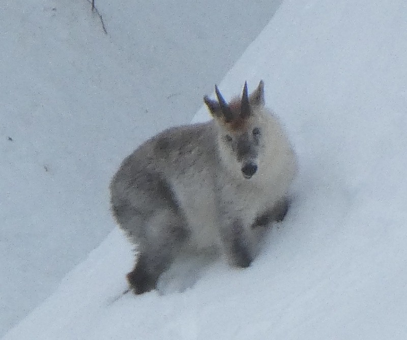 �j�z���J���V�J