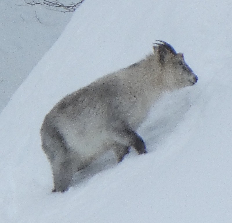 �j�z���J���V�J