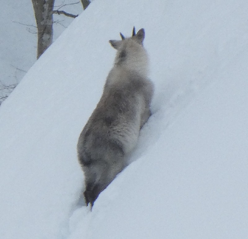 �j�z���J���V�J