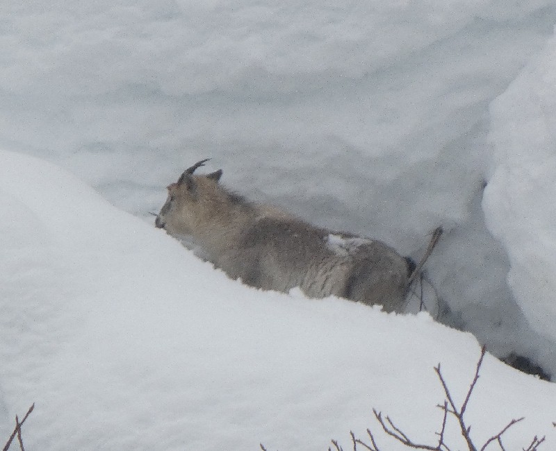 �j�z���J���V�J