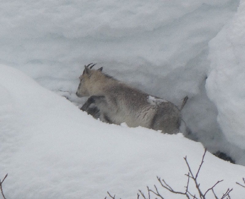 �j�z���J���V�J