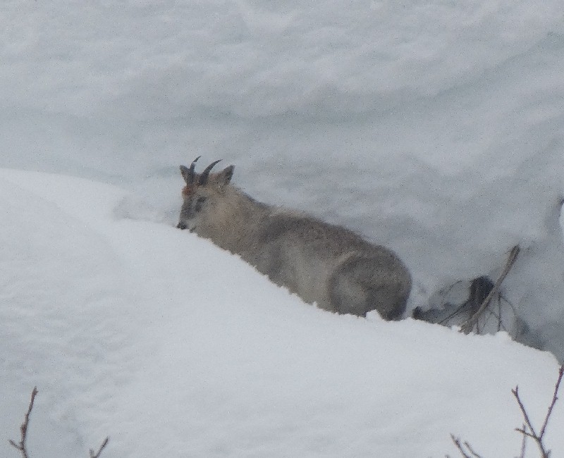 �j�z���J���V�J