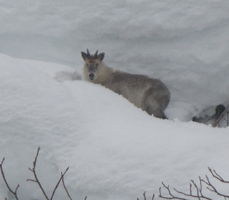 �j�z���J���V�J