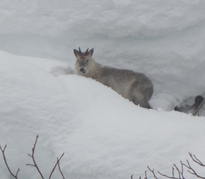 �j�z���J���V�J