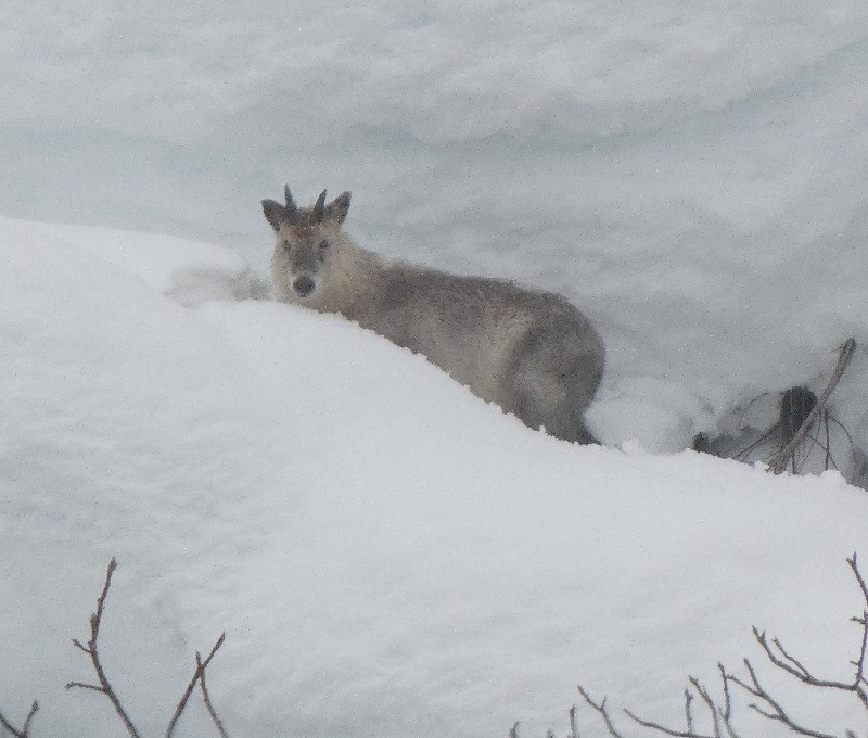 �j�z���J���V�J