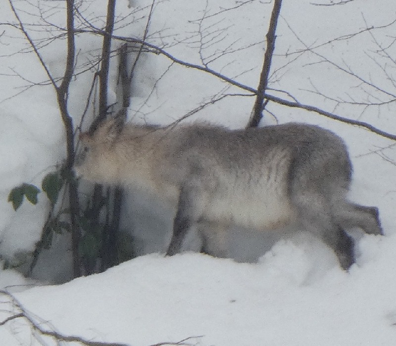 �j�z���J���V�J