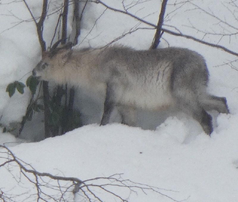 �j�z���J���V�J