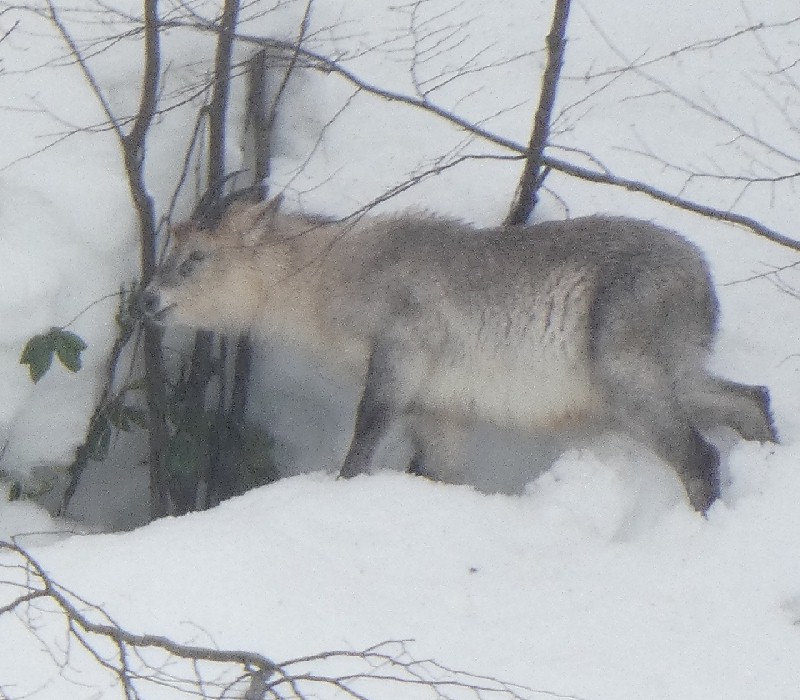 �j�z���J���V�J