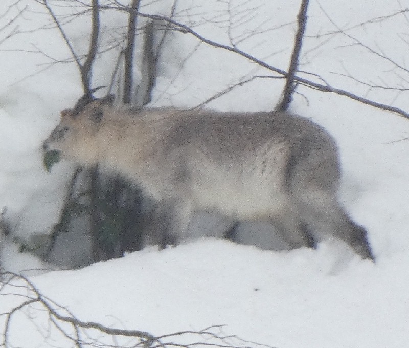 �j�z���J���V�J