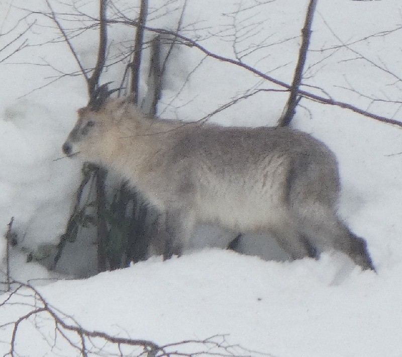 �j�z���J���V�J