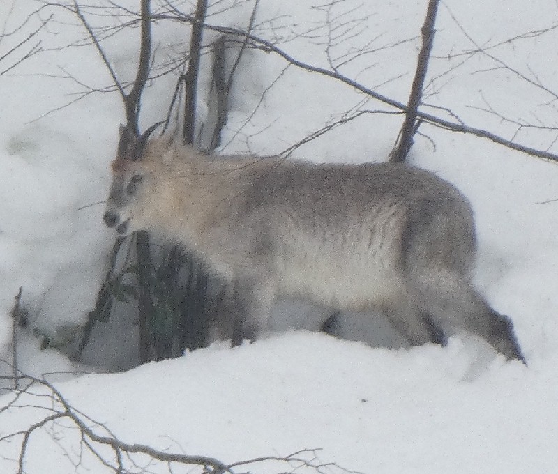 �j�z���J���V�J